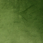 Charger l'image dans la galerie, McAlister Textiles Matt Fern Green Piped Velvet Cushion Cushions and Covers