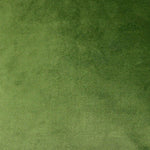 Charger l&#39;image dans la galerie, McAlister Textiles Matt Fern Green Velvet Fabric Fabrics 1 Metre 
